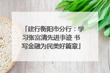 建行衡阳市分行：学习张富清先进事迹 书写金融为民美好篇章
